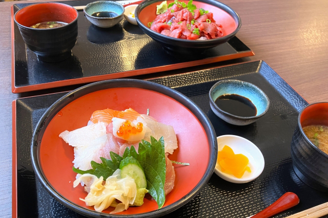 テキストが入ります